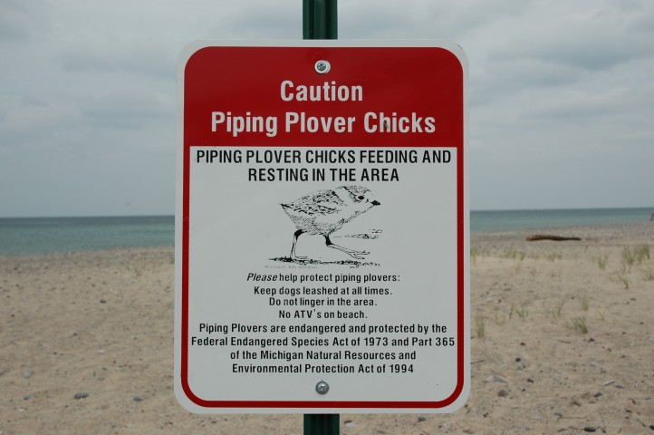 A sign on the beach