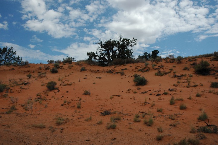 On the way to Zion National Park