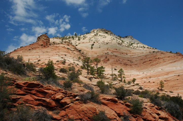 Zion National Park