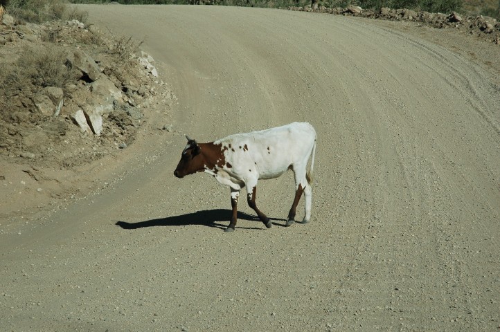 On the way to Grand Canyon West